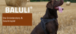 baluli cover