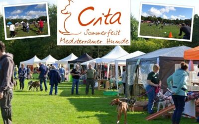„CITA – Sommerfest mediterraner Hunde“ 2019