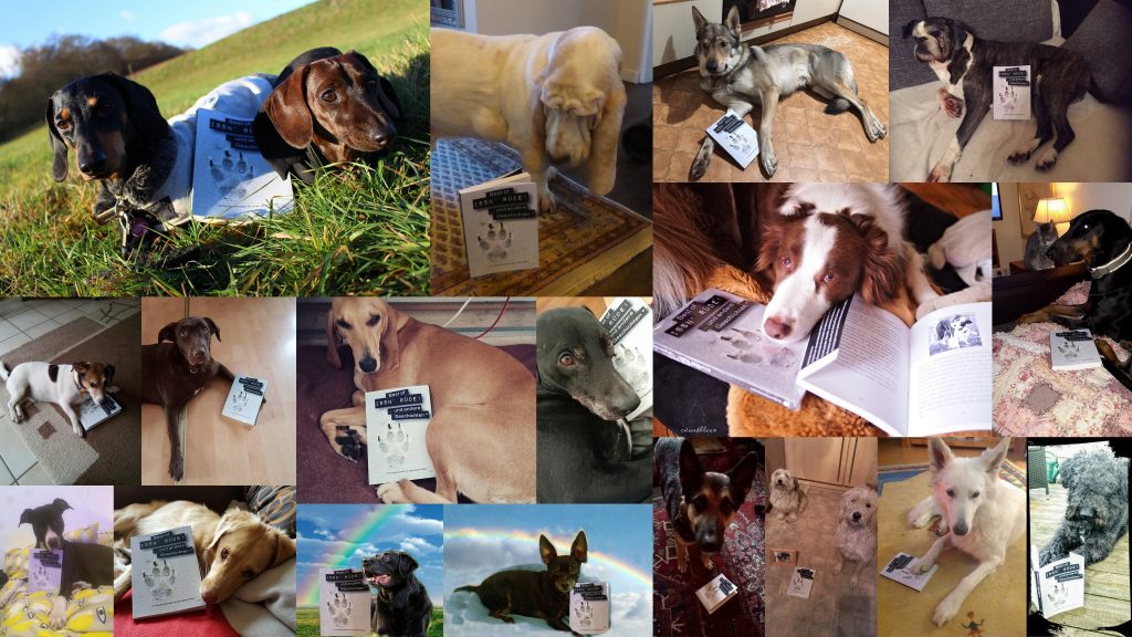 FotoWettbewerb Zeig uns ein Foto deines Hundes (mit unserem Buch