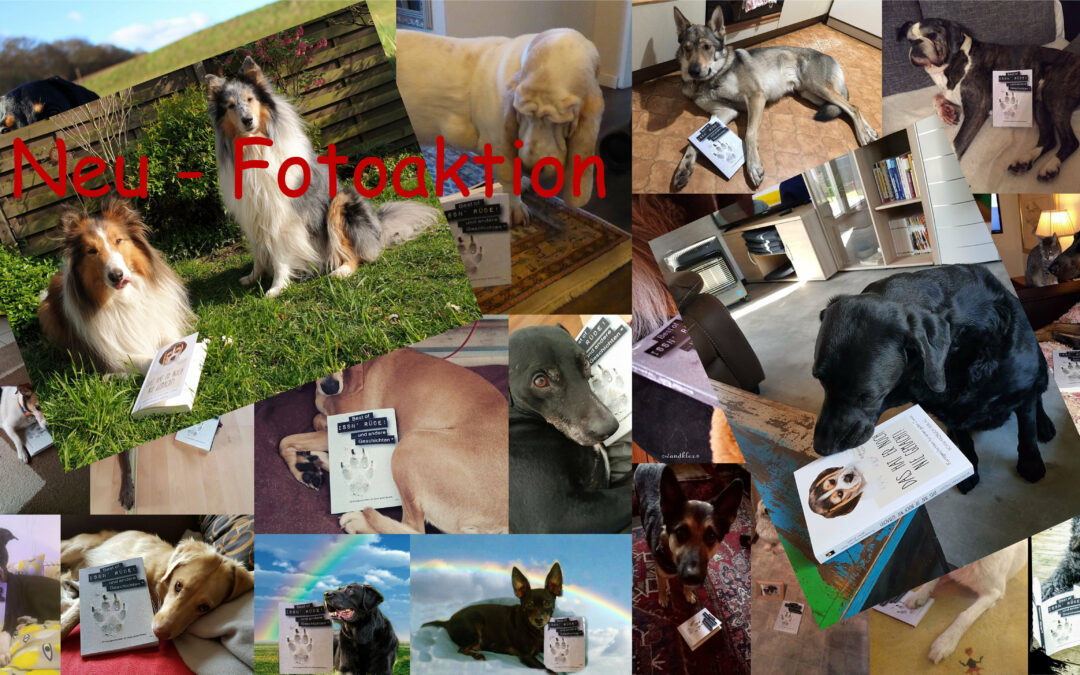 Update -verlängert bis 20.April – Foto-Wettbewerb – Zeig uns ein Foto deines Hundes     (mit unserem Buch)