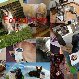 Update -verlängert bis 20.April - Foto-Wettbewerb - Zeig uns ein Foto deines Hundes     (mit unserem Buch)