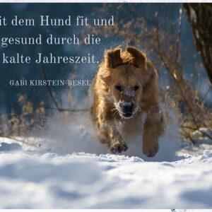 fit_und_gesund_mit_hund
