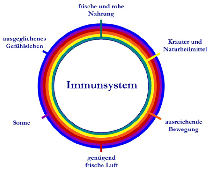 immunsystem