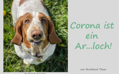 Corona ist ein Ar…loch, auch Weihnachten 21!