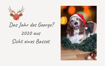Das Jahr des George?…