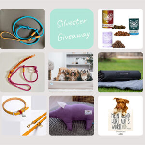 !! Tolle Silvester Giveaways !!