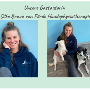 Gastautorin Silke Braun von Förde Hundephysiotherapie