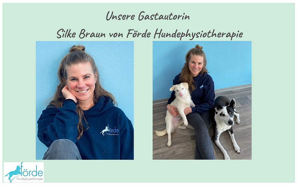 Gastautorin Silke Braun von Förde Hundephysiotherapie