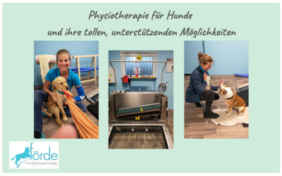 Was ist Hundephysiotherapie?