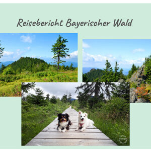 Urlaub mit Hund im Bayerischen Wald