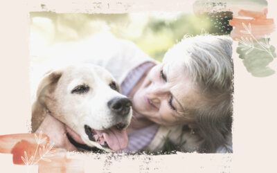 Hunde und Senioren: Wie Hunde älteren Menschen helfen können, ein erfülltes Leben zu führen