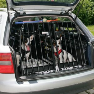 Hundebox-Auto