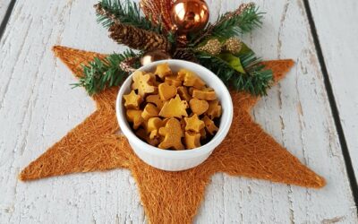 Gesunde Hundekekse für Weihnachten backen