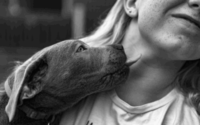 Warum lecken Hunde Menschen ab?