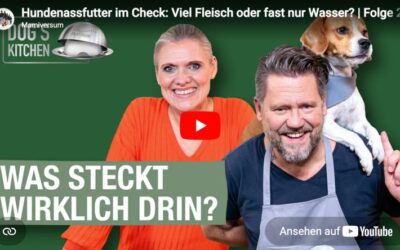 Dog’s Kitchen – Folge 1 bis 6 jetzt online