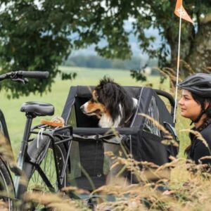 Radtour mit Hund: Darauf solltest du achten Radtour-mit-Hund-im-Hundeanhaenger